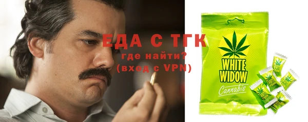 индика Бугульма